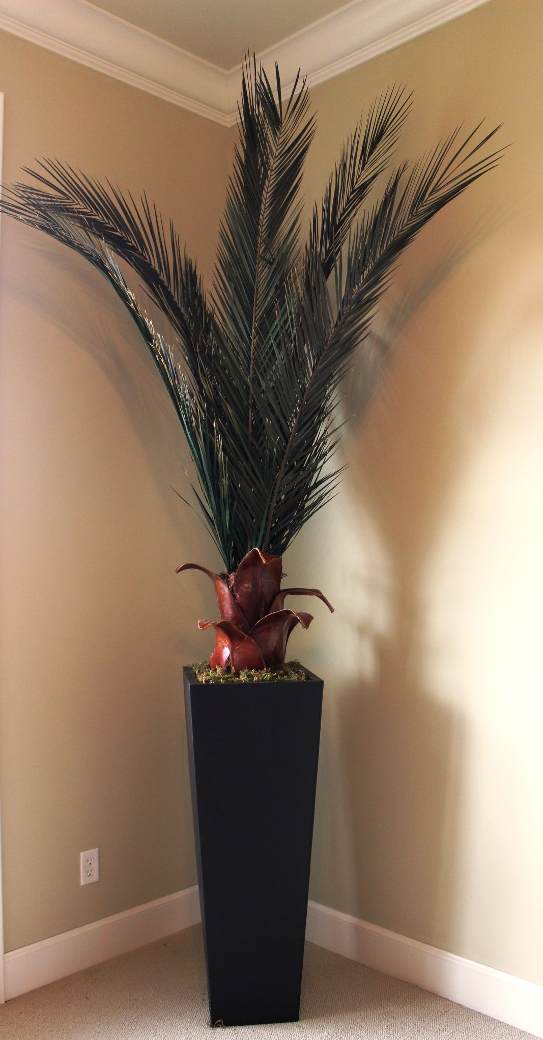 10ft Azar Palm - Click Image to Close